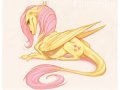 1334928622.thecrazydragon_fluttershy.png.jpg